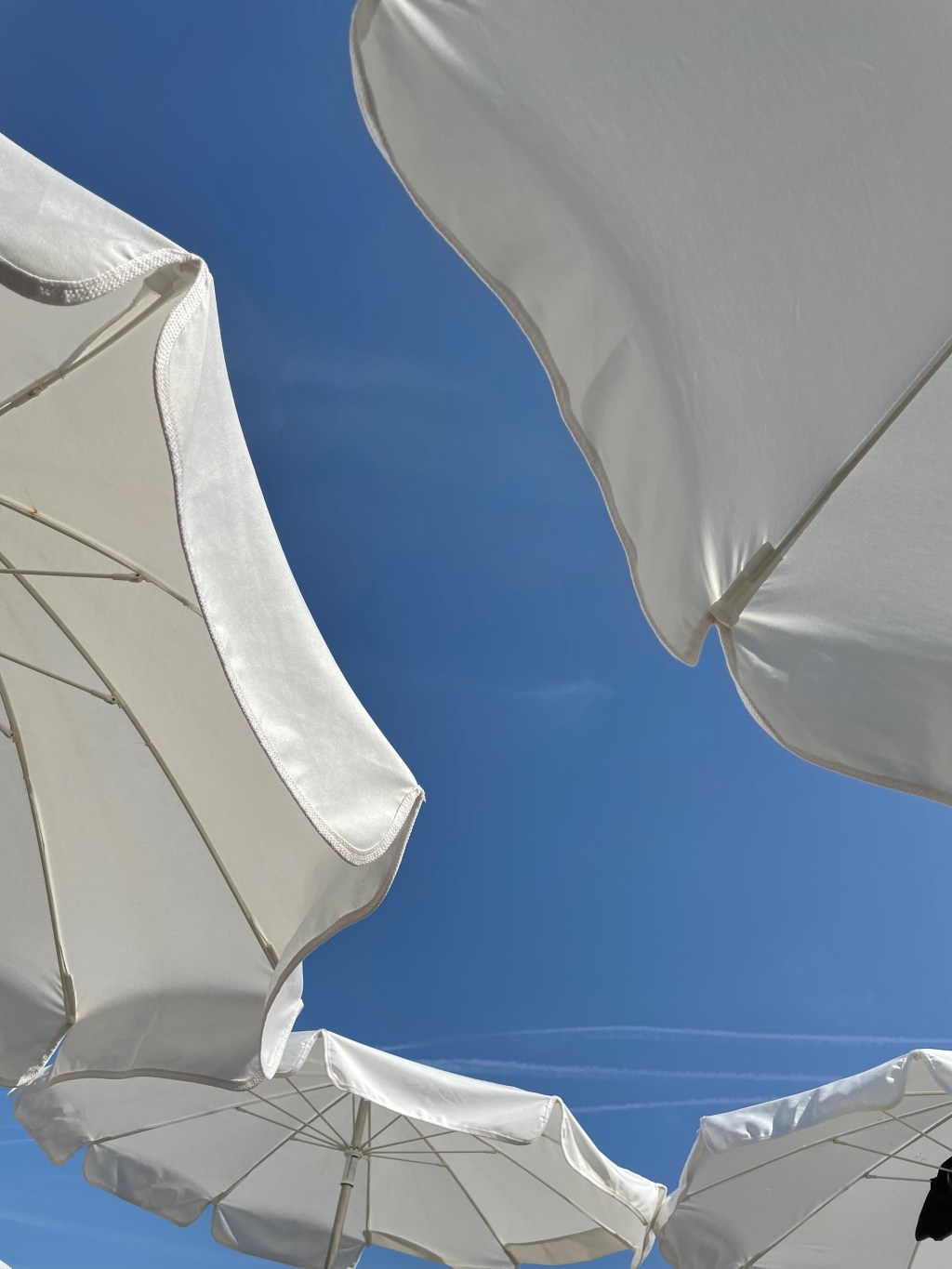 Are you capable of truly doing nothing?