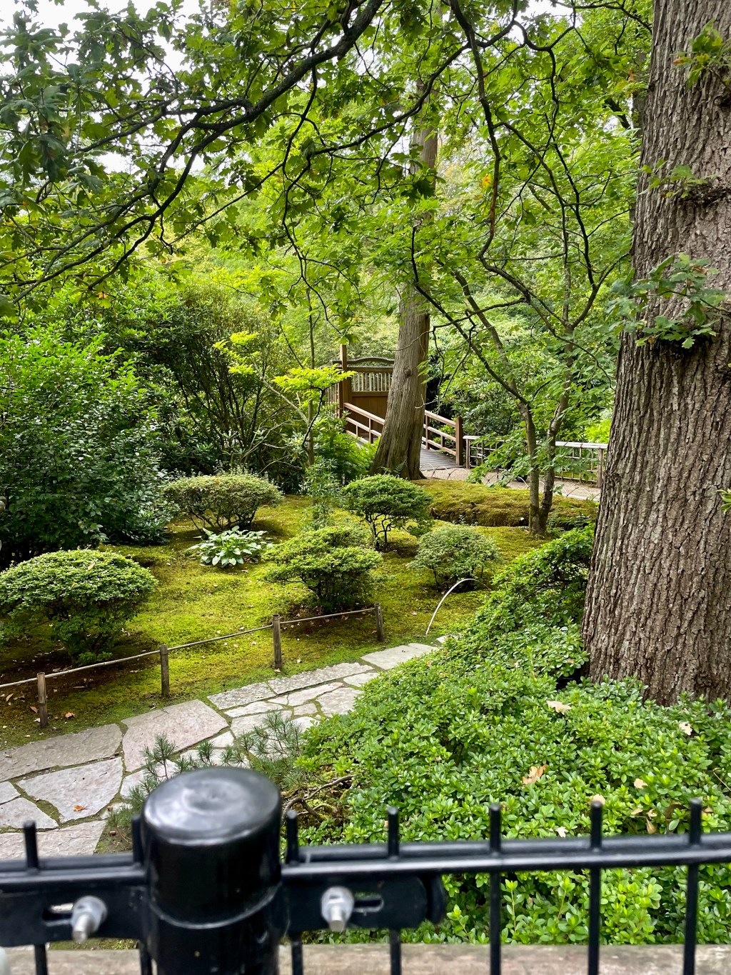 How to travel when you can’t travel 