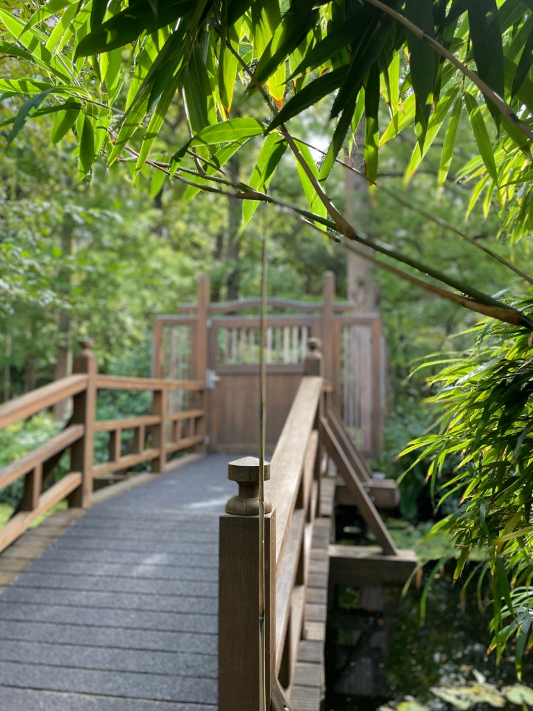 Bamboo leaves in the foreground and the entrance gate to a Japanese garden blurred in the background.
