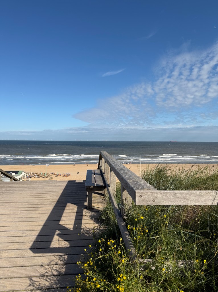 Dune view on the Dutch North Sea coast