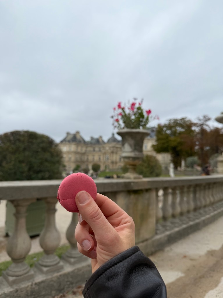 Hand holding a raspberry macaron in the Jardin du Luxembourg