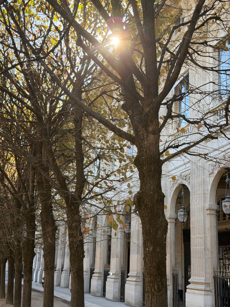 The Jardin du Palais Royal in the October sun.